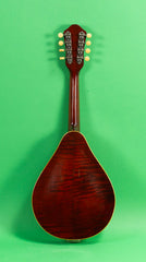 1941 Martin 215 Model Shaded Top